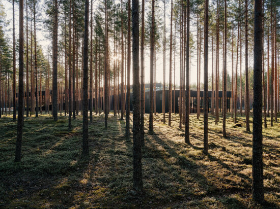 En fabrikkbygning bak en skog av høye furutrær.